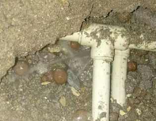 花垣卫生间测漏